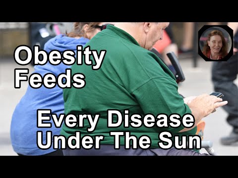Obesity Feeds Every Disease Under The Sun –  Anna Maria Clement, PhD [Video]