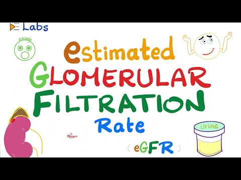 eGFR (Estimated Glomerular Filtration Rate) – Kidney Function Tests – Inulin & Creatinine – Lab [Video]