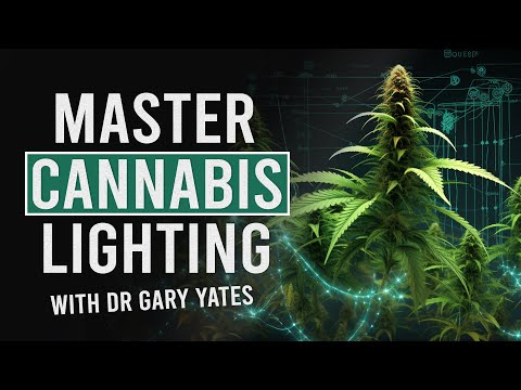 Master your Lighting with Dr Gary Yates’ Expert Formulas! [Video]