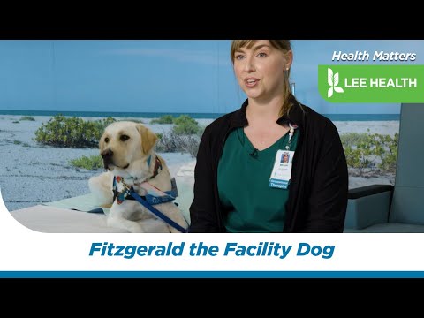 Fitzgerald the Facility Dog [Video]