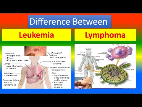 Difference between Leukemia and  Lymphoma [Video]