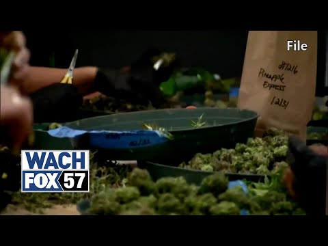 SC moves closer to allowing medical marijuana with Compassionate Care Act [Video]