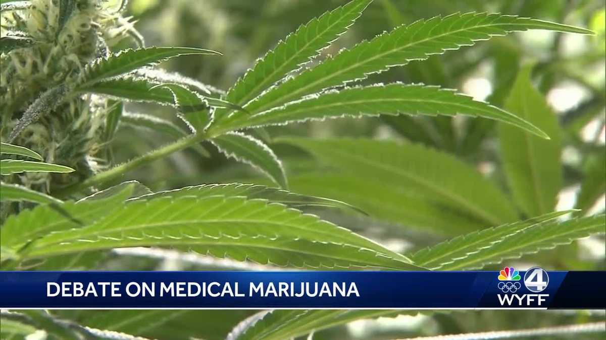 Upstate lawmakers weigh-in on medical marijuana debate [Video]