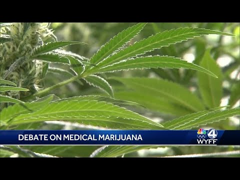 Upstate lawmakers weigh-in on medical marijuana debate [Video]