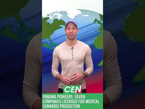 Panama Grants Licenses for Medical Cannabis [Video]