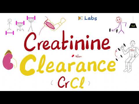 Creatinine Clearance and Kidney Failure – Renal Function Tests [Video]