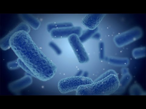 Revealing what makes bacteria life-threatening [Video]