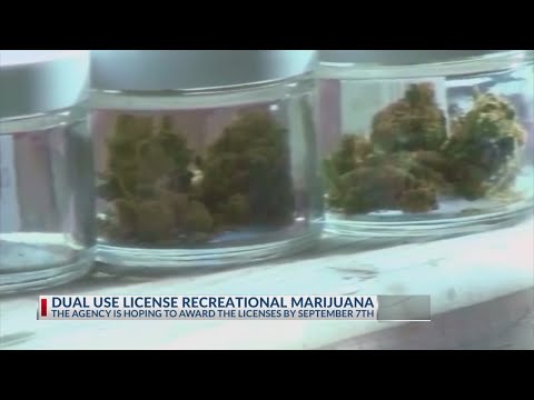 Dual-use license for medical, recreational marijuana proposed [Video]