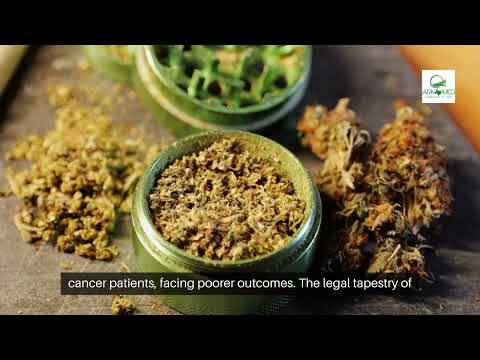 Revolutionize Your Health: Medical Marijuana for Peripheral Neuropathy in Dallas, Tx [Video]