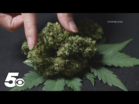 The newest on medical marijuana in Arkansas [Video]