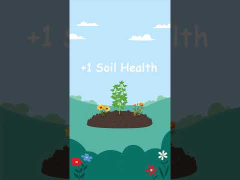 Benefits of Companion Planting! [Video]