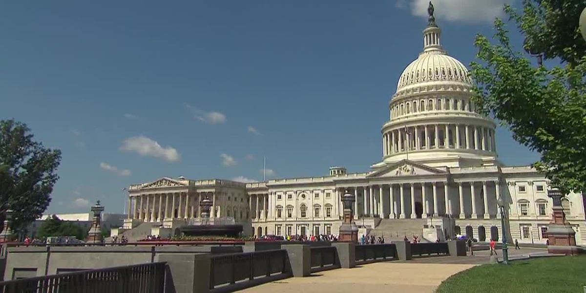 Johnson now open to stopgap bill to avert government shutdown [Video]