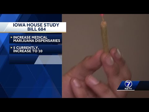 Iowa lawmakers work to make medical marijuana dispensaries more easily accessible to all Iowans [Video]