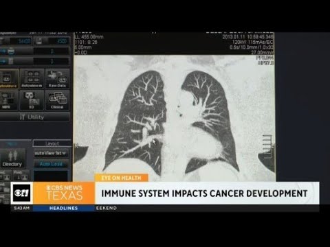 Immune system impacts cancer development [Video]
