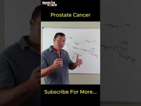 Traveling For Second Opinion | Prostate Cancer Medical Openion [Video]