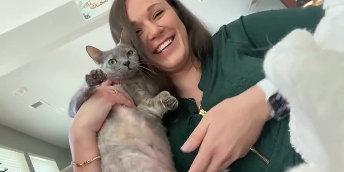 Missing cat and owner reunited after 5 years thanks to microchip [Video]