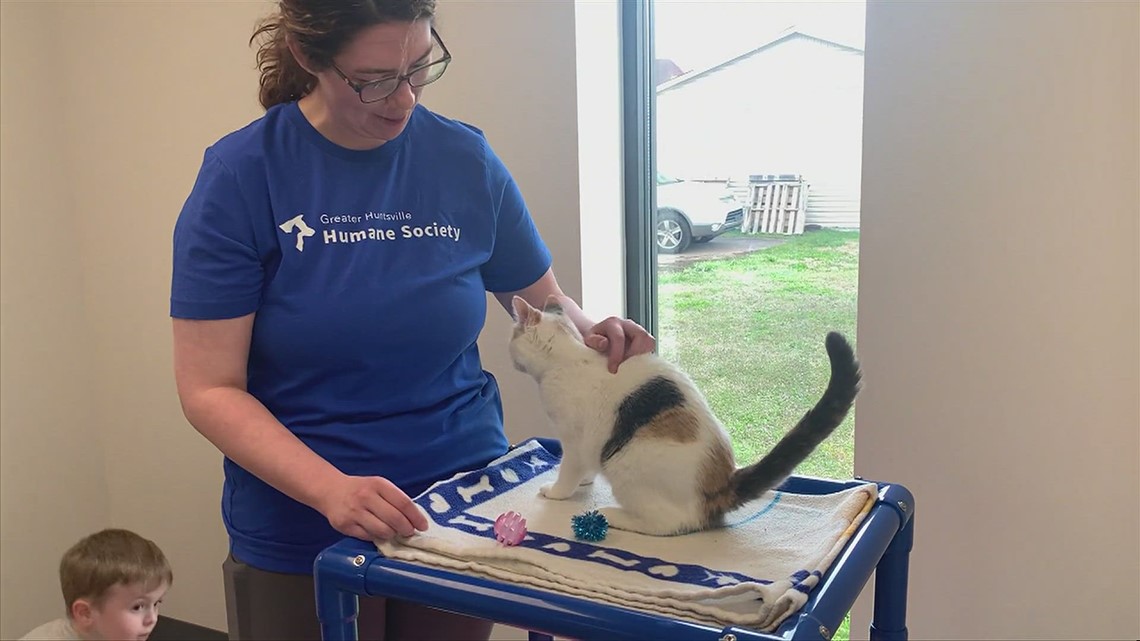 New facility for special needs cats opens in Huntsville [Video]