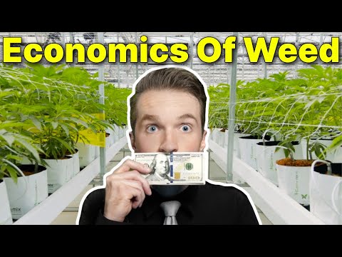 The Billions Behind Marijuana Legalization [Video]