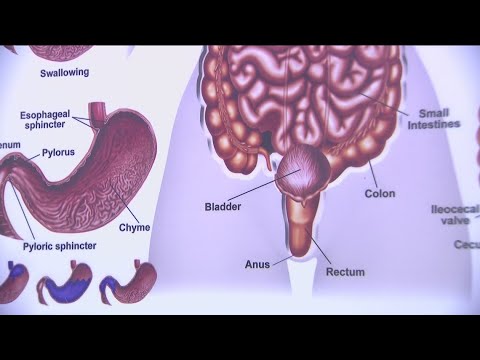 Colon Cancer Awareness Month: how a screening can help [Video]