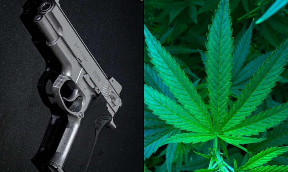 Maryland Lawmakers Discuss Bill To Protect Medical Marijuana Patients’ Gun Rights Under State Law [Video]