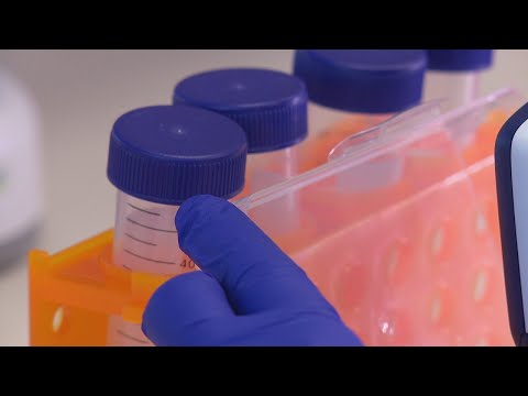 Researchers looking for patients to participate in pancreatic cancer vaccine trial [Video]