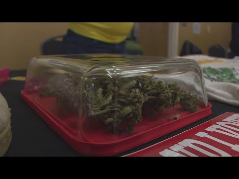 Kentucky Cannabis Conference provides educational resources to community [Video]