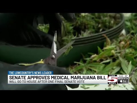 VIDEO: SC Senate poised to approve medical marijuana bill [Video]