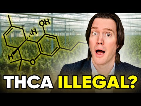Why THCA & Delta-8 are Illegal Explained By a Cannabis Lawyer [Video]