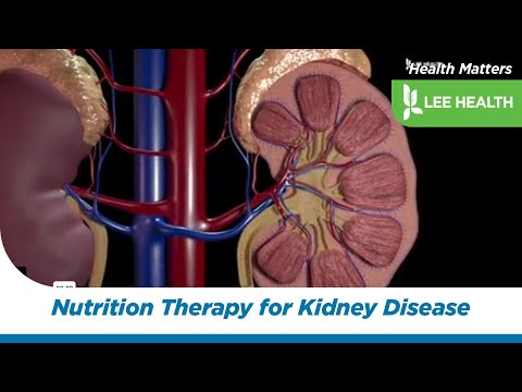 Medical Nutrition Therapy for Chronic Kidney Disease [Video]