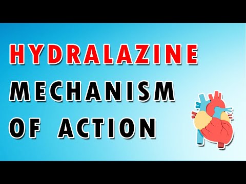Hydralazine Explained: Blood Pressure Regulation and Vasodilation [Video]