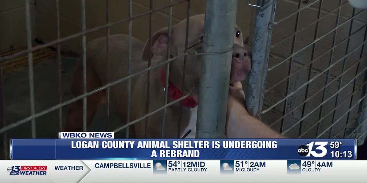 Logan County Animal Shelter is undergoing a rebrand [Video]