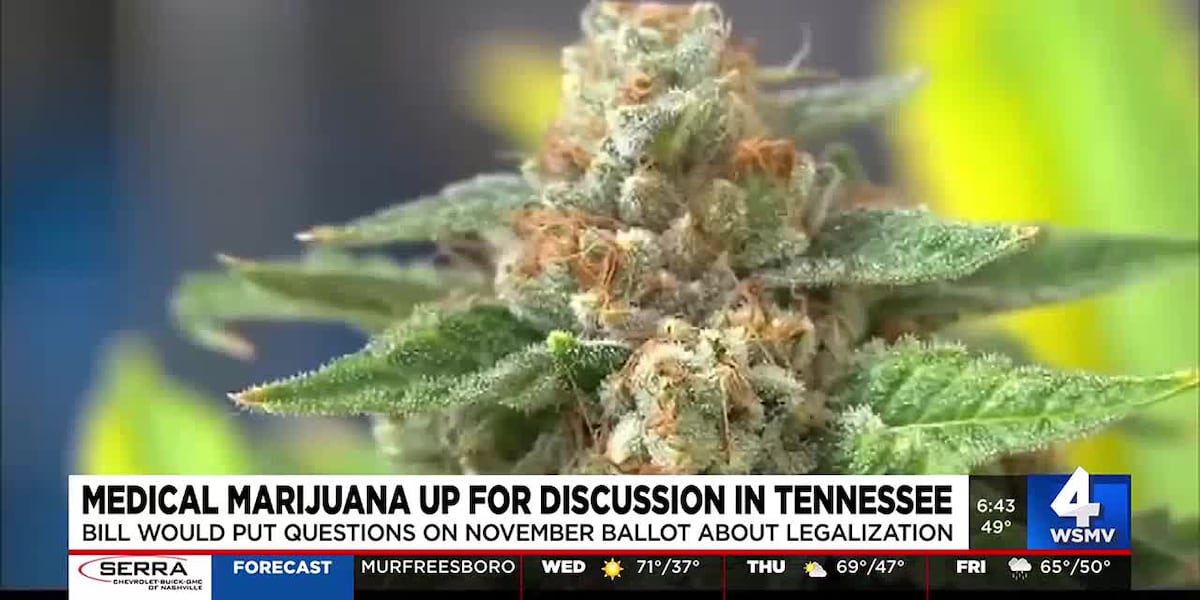 Push to legalize medical marijuana in Tennessee [Video]