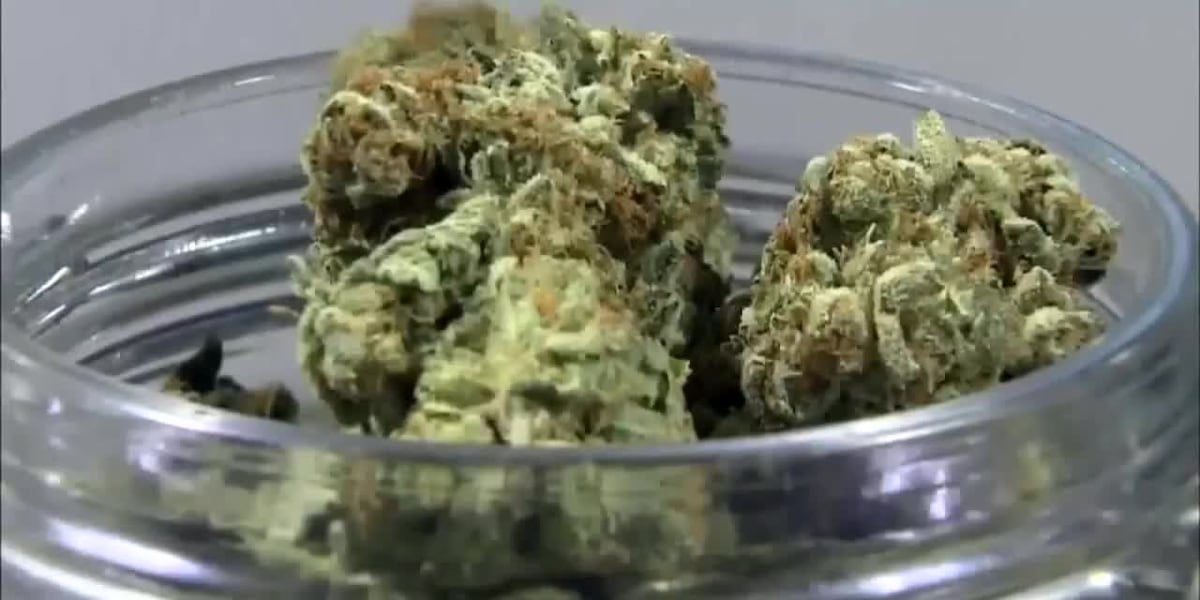 Lawmakers hope to open discussion to legalize medical marijuana in Tennessee [Video]