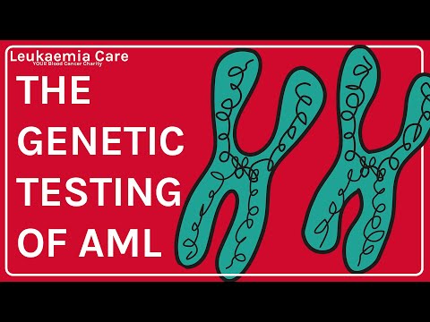 The genetic testing of Acute Myeloid Leukaemia (AML) | Leukaemia Care [Video]