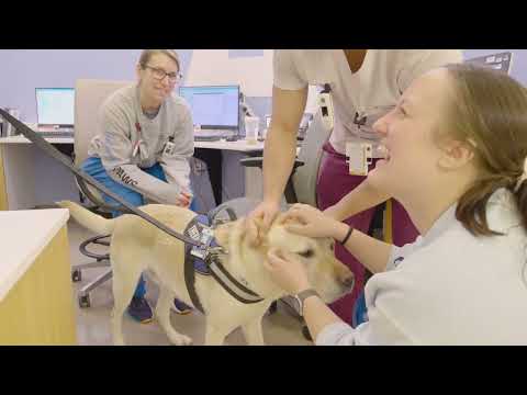 Butterfly Paws | Providing Care & Support through Canines [Video]