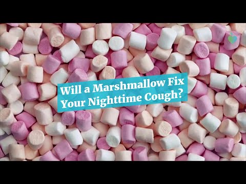 Will a Marshmallow Fix Your Nighttime Cough? [Video]