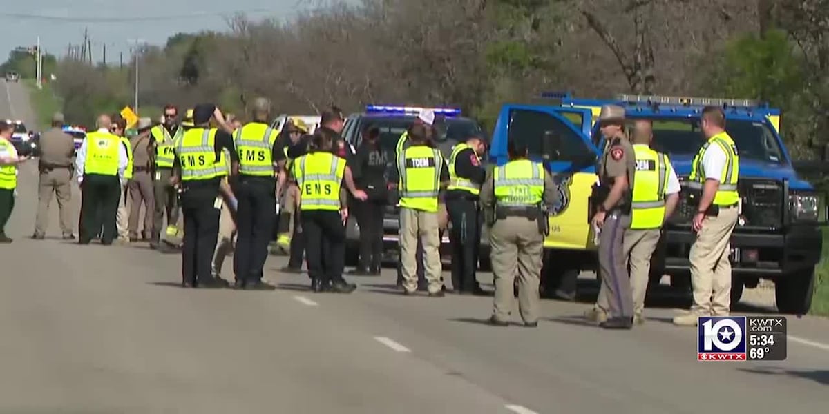 At least 2 dead after school bus and concrete truck collide in Bastrop County [Video]