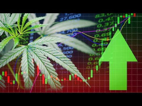 The “Profit Catalysts” for Medical Marijuana Stocks [Video]