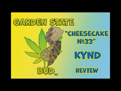 Cheesecake #33|-3.5g Flower| KYND| NewJersey| Medical Marijuana| Review| Cannabis [Video]