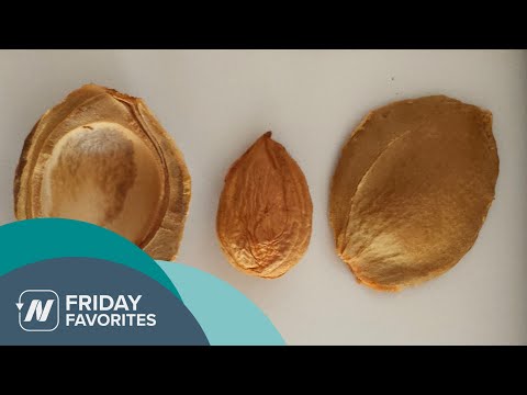 Friday Favorites: Do Apricot Seeds Work as an Alternative Cancer Cure? [Video]