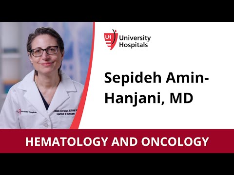 Sepideh Amin-Hanjani, MD – Neurological Surgery [Video]