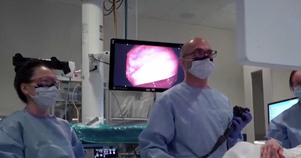 New AI tool at UCHealth improves polyp detection rate during colonoscopies [Video]