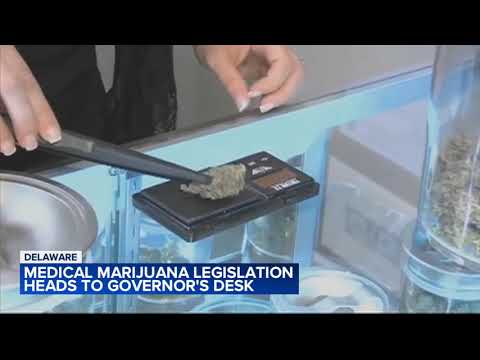 Lawmakers seek to prop up Delaware medical marijuana industry after legalizing recreational use [Video]