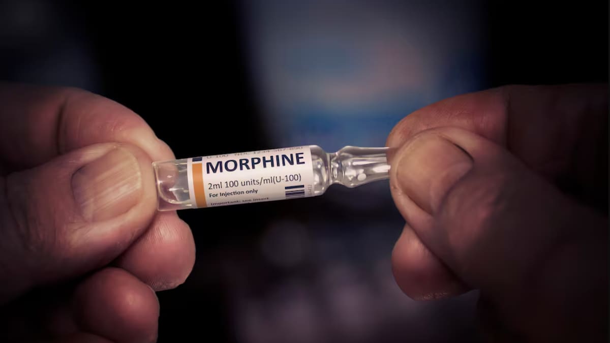 Morphine shortage across New Zealand impacting patients in palliative care, new stock months away [Video]