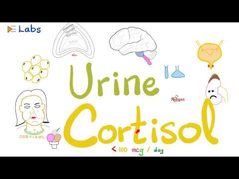 Cushing Syndrome – Urine Cortisol Level – (24-hour-urine cortisol)- Hypercortisolism -Endocrine Labs [Video]