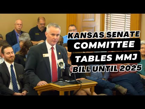 Kansas Senate committee tables medical marijuana bill until 2025 legislative session [Video]