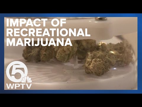 How could recreational marijuana impact community? [Video]