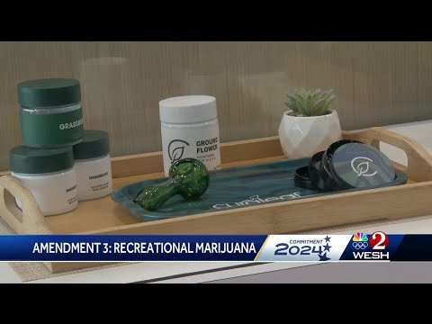 Amendment 3: Florida voters to decide on legalization of recreational marijuana [Video]