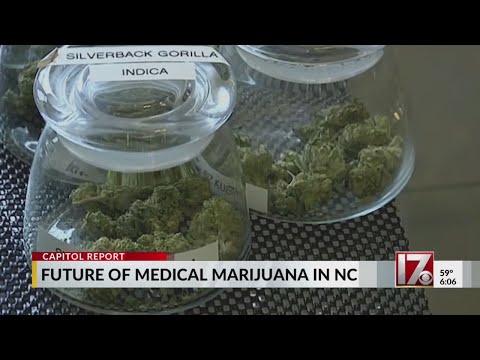 Medical marijuana dispensary opens on 4/20 with NC bill still pending [Video]