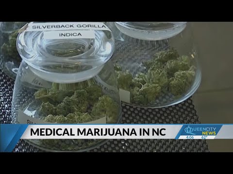 North Carolina’s first medical marijuana dispensary opens on 4/20 [Video]